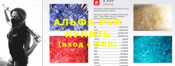 сатива Володарск